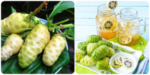 Cách sử dụng quả nhàu tốt cho sức khoẻ