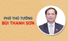 Infographic: Sự nghiệp tân Phó Thủ tướng Bùi Thanh Sơn