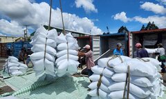 Cuối năm, xuất khẩu gạo Việt Nam có tái lập kỷ lục 8 triệu tấn?