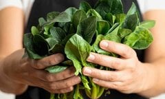 Điều gì xảy ra nếu bạn ăn rau chân vịt mỗi ngày?