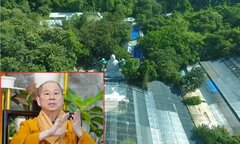 Lấn chiếm đất rừng nhiều năm, chùa Phật Quang sẽ bị xử lý thế nào?