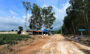 Hơn 50 cảnh sát khám xét trang trại nghi lây lan dịch tả heo châu Phi