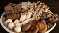 Lợi ích tuyệt vời của nấm với sức khoẻ