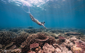 Trải nghiệm lặn biển ở Côn Đảo