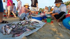 Độc đáo chợ 'chồm hổm' ở Đà Nẵng, cá mực tươi rói, nhìn là muốn mua 
