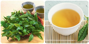 Những người nên hạn chế uống nước chè xanh