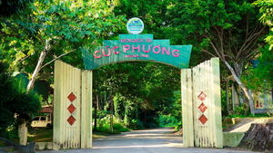 Cúc Phương là 'Vườn quốc gia hàng đầu châu Á' năm 2024