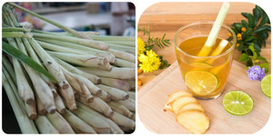 Vì sao bạn nên uống trà sả vào buổi sáng?