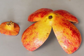 Ăn lựu đừng vội vứt vỏ, dùng nó bón cây, đuổi côn trùng rất tốt