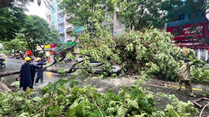 Ảnh hưởng từ siêu bão Yagi, TP.HCM và Nam Bộ mưa to, gió giật mạnh