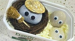 Vừa nghèo vừa cô đơn, gen Z Trung Quốc đua nhau 'nuôi' đá cuội làm thú cưng 