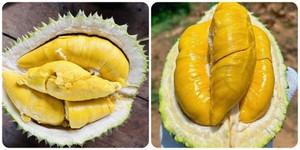 Những người nên hạn chế ăn sầu riêng