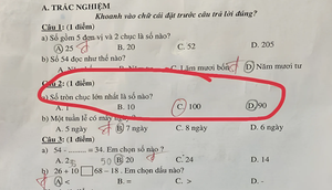 Bài toán tiểu học khiến phụ huynh cũng phải 'đứng hình'