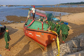 Quân đội huy động hơn 450.000 người, 400 xe đặc chủng, 6 máy bay chống bão Yagi