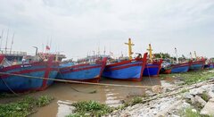 Nam Định: Tàu thuyền neo đậu an toàn, sẵn sàng di dời người dân tránh bão Yagi