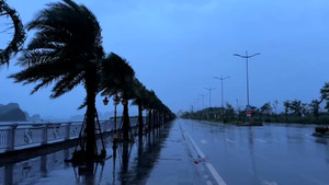 Đảo Bạch Long Vĩ mưa to, gió giật mạnh khủng khiếp