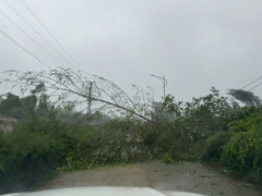 Bão Yagi sắp đổ bộ: Quảng Ninh mưa to gió giật, cảnh báo thiên tai cấp 4