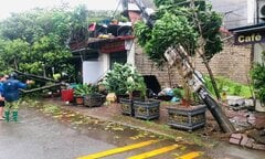 Hình ảnh la liệt cột điện bị gãy đổ giữa cuồng phong siêu bão Yagi