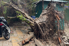 Gió mạnh kinh hoàng, hàng loạt biển quảng cáo, cây cổ thụ đổ rạp ở Hà Nội