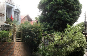 Bão số 3 Yagi vào đất liền, quật đổ hàng loạt cây xanh, biển hiệu ở Lạng Sơn