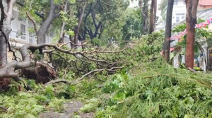 Khi nào bão Yagi qua Hà Nội?