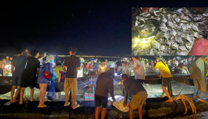 Người dân đổ ra biển nhặt cá trôi dạt sau bão Yagi