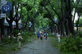 Phố phường Hà Nội tan hoang sau một đêm bão Yagi càn quét