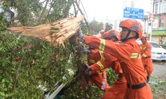 Trung Quốc chi 28 triệu USD khắc phục hậu quả bão Yagi