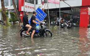 Cây đổ la liệt, đường phố Hải Phòng ngập sâu sau bão Yagi
