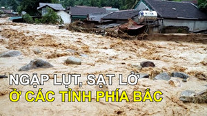 Người dân nhiều tỉnh thành miền Bắc thâu đêm chạy lụt