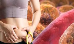 3 mẹo đơn giản giúp giảm 1 kg mỡ dư thừa trong 2 tuần