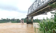 Sập cầu Phong Châu: 8 xe rơi xuống sông, cứu được 5 người