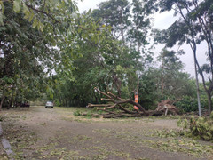 Hết siêu bão Yagi, sân Mỹ Đình vẫn ngổn ngang trước trận Việt Nam đấu Thái Lan