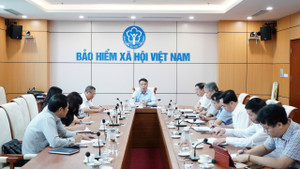 BHXH Việt Nam: Đảm bảo giải quyết kịp thời quyền lợi BHXH, BHYT sau bão Yagi