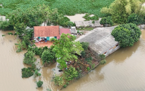 Hà Nội: Phát lệnh báo động lũ trên sông Cầu, sông Bùi trong đêm