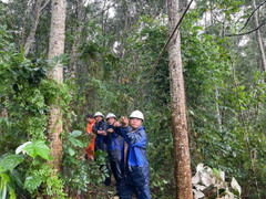 Tập đoàn Điện lực Việt Nam cập nhật tình hình cung cấp điện sau bão Yagi