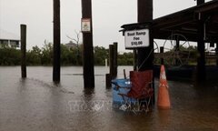 Mỹ: Bão Francine tàn phá Louisiana, hàng trăm nghìn người mất điện