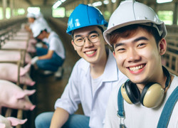 Nhân viên chăn lợn được trả lương tới 140 triệu đồng mỗi tháng