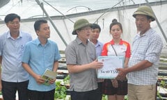Chủ tịch Hội Nông dân VN tặng quà nông dân Hải Phòng bị thiệt hại do bão Yagi