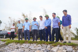 Hải Phòng: Huy động cả hệ thống chính trị phòng chống lũ, hộ đê