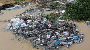 Lũ kéo xác thối, rác thải bủa vây, người Hà Nội lo dịch bệnh khi nước rút