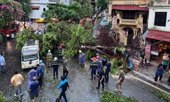 Hà Nội miễn giảm thuế cho người bị ảnh hưởng của bão Yagi