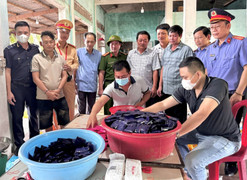 Bắt giữ 2 kẻ mang súng chuyển 26kg ma tuý từ Kon Tum ra Quảng Bình