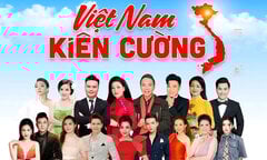 Việt Hoàn, Anh Thơ tham gia 'Việt Nam kiên cường', cứu trợ đồng bào vùng lũ 