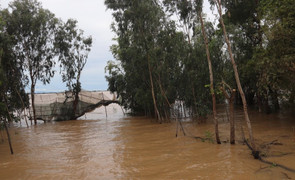 Lũ ở miền Tây lên nhanh sau bão Yagi, thời tiết có bất thường?