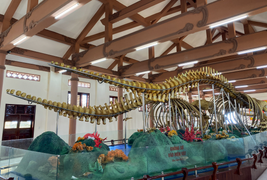 Hai bộ xương cá voi ở đảo Lý Sơn xác lập kỷ lục lớn nhất Việt Nam