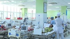 Ăn cá nóc, hai vợ chồng ở Quảng Ngãi nhập viện cấp cứu