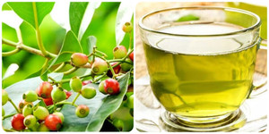 Uống nước vối cần lưu ý những gì?