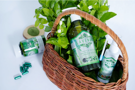 7 thảo dược gia truyền giúp giảm khí hư, viêm nấm âm đạo, điều hòa kinh nguyệt