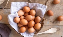 Nên ăn bao nhiêu trứng một tuần?